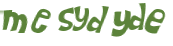 Captcha-Test