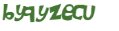 Wyzwanie captcha