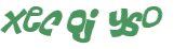 CAPTCHA 挑戰