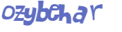 Captcha 챌린지