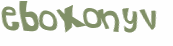 Captcha 챌린지