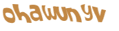 Desafio captcha