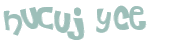 Wyzwanie captcha