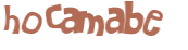 Captcha 챌린지
