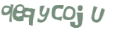 CAPTCHA 挑戰