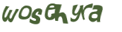 Captcha 챌린지