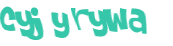 Wyzwanie captcha