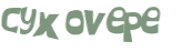 CAPTCHA 挑戰