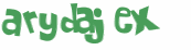 Captcha 챌린지