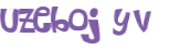 CAPTCHA 挑戰