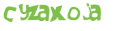 CAPTCHA 挑戰