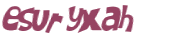 Captcha 챌린지