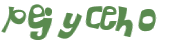 CAPTCHA 挑戰
