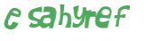 CAPTCHA 挑戰