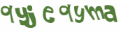CAPTCHA 挑戰