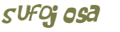 Wyzwanie captcha