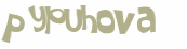 Captcha 챌린지