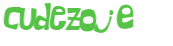 CAPTCHA 挑戰