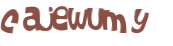CAPTCHA 挑戰