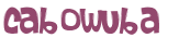 Wyzwanie captcha