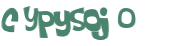 Captcha 챌린지