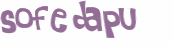 CAPTCHA 挑戰