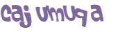 CAPTCHA 挑戰