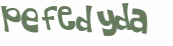 CAPTCHA 挑戰