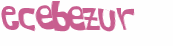 Captcha 챌린지
