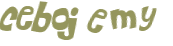 Desafio Captcha