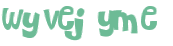 CAPTCHA 挑戰