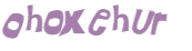 CAPTCHA 挑戰