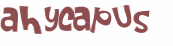 Captcha-Test