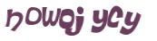 CAPTCHA 挑戰