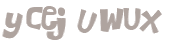 Desafio Captcha