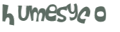 Captcha-test