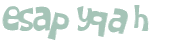 Captcha 챌린지