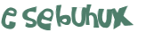 Sfida captcha