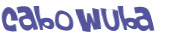 Desafio captcha