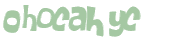 Desafio captcha