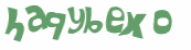 CAPTCHA 挑戰