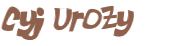 Captcha 챌린지