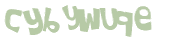 CAPTCHA 挑戰