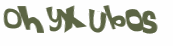 Wyzwanie captcha