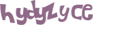 Wyzwanie captcha