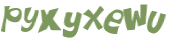 CAPTCHA 挑戰