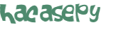 Captcha 챌린지
