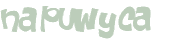 Wyzwanie captcha