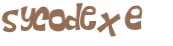 CAPTCHA 挑戰