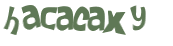 CAPTCHA 挑戰
